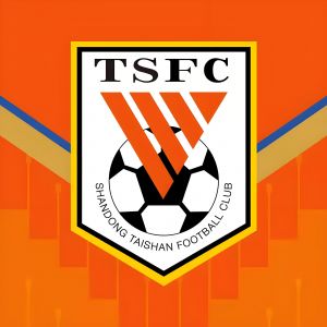 山东泰山足球俱乐部 山东泰山足球俱乐部