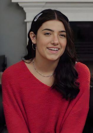 查莉·达梅利奥